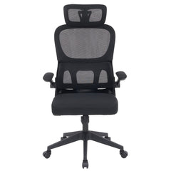 Ergonomic Office Chair CR-W1
