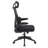 Ergonomic Office Chair CR-W1