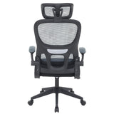 Ergonomic Office Chair CR-W1