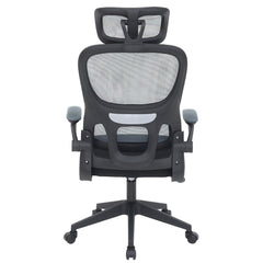 Ergonomic Office Chair CR-W1