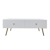 Glossy Coffee Table CT-A1819