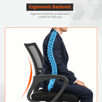 Ergonomic backrest illustration showing seated posture in the BX002 mesh office chair