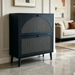 2-Door Flip Shoe Cabinet featuring black MDF panel with gold-tone trim, perfect for modern spaces.