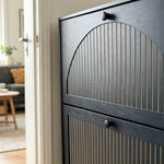 Stylish 2-Door Flip Shoe Cabinet showing elegant black MDF with gold-tone vertical trim.