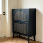 2-Door Flip Shoe Cabinet in modern black design with gold-tone details, perfect for organizing footwear in South African homes.