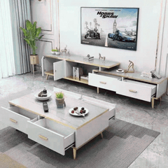 White and Black Bone Gold Adjustable Plasma TV Stand TV-3024