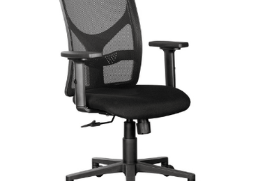 Revolutionize Your Workspace: Software Ergonomics for South African Professionals