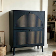 2-Door Flip Shoe Cabinet featuring black MDF and gold-tone vertical trim, designed for modern South African entryways.