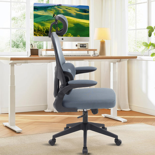 Ergonomic Office Chair CR-W1 Grey