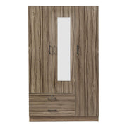 Wood Wardrobe with Mirror