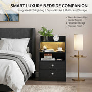 Black RGB LED Bedside Table with 2 Drawers