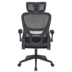 Ergonomic Office Chair CR-W1