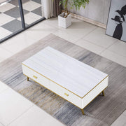 Black and Gold Coffee Table front view in a modern living room setting - Artisansa