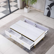 Black and Gold Coffee Table white top variant in a room with a rug and plant - Artisansa
