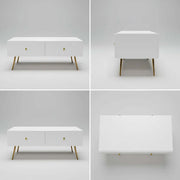Glossy Coffee Table CT-A1819
