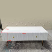 Glossy Coffee Table CT-A1819