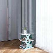 Tiered Shoe Rack Stand Organizer 5kg Load Bearing - ArtisanSA