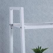 4-Tier Ladder Shelf 	 SF-KJT41