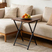 Rustic Folding TV Tray Table